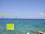 Grand Cayman Scuba Diving Location South Sound Blue Parrot