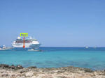 Grand Cayman Scuba Diving Location George Town Cheese Burger Reef