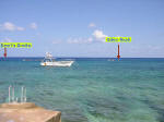 Grand Cayman Scuba Diving Location George Town Eden Rock