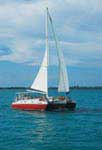 50 foot Catamaran Stingray City Charter
