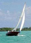 Grand Cayman Cruise Ship excursions and tours, Red Baron sain and snorkel Charters