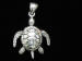 Silver Grand Cayman Green Sea Turtle